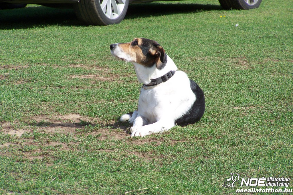 100_4194.jpg
