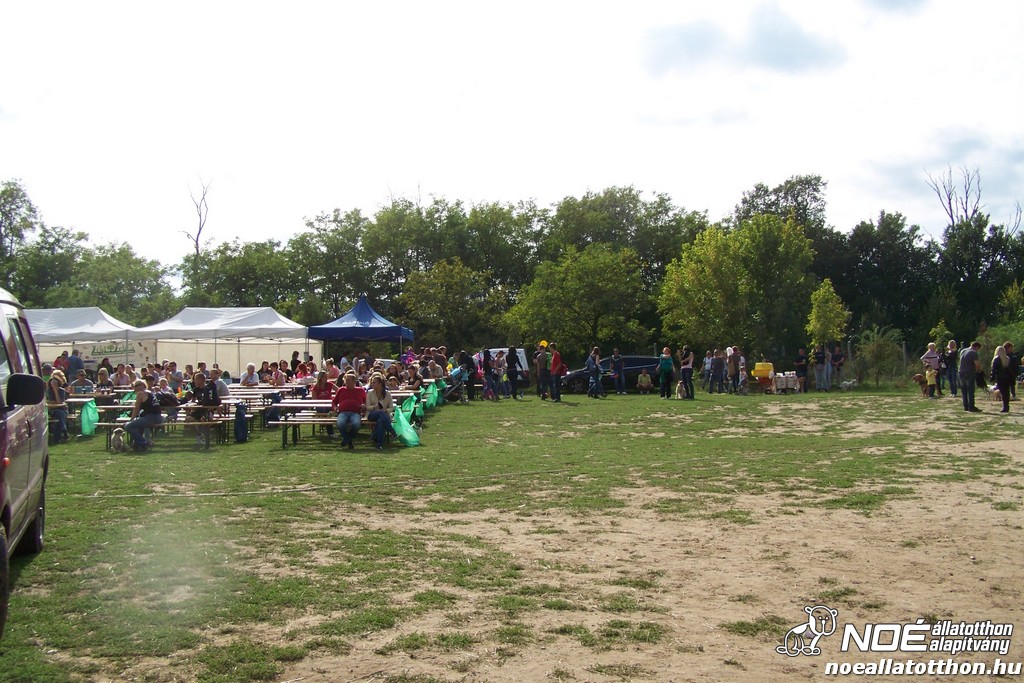 100_4285.jpg