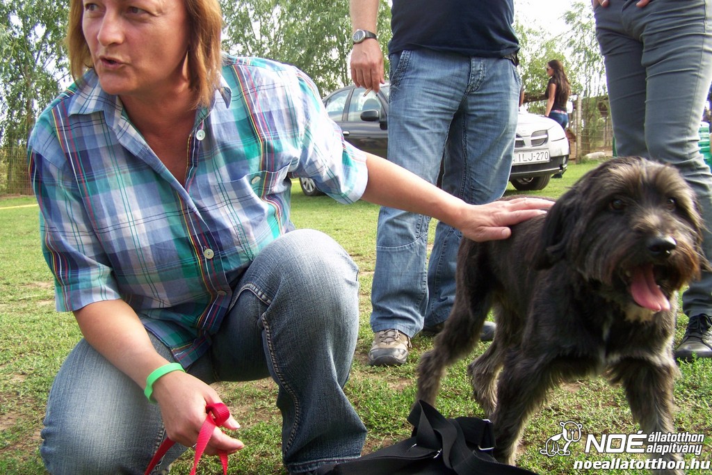 100_4315.jpg