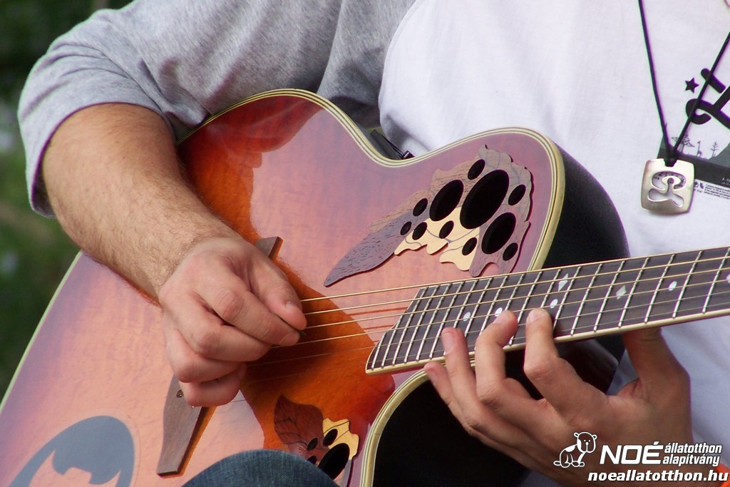 100_4330.jpg