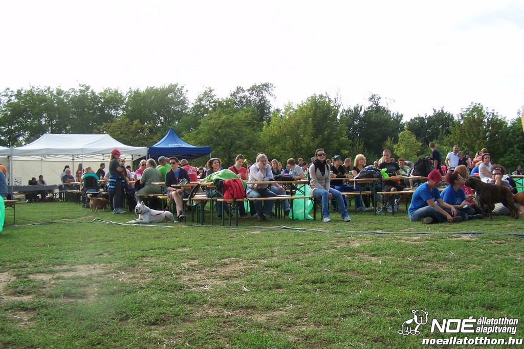 100_4337.jpg
