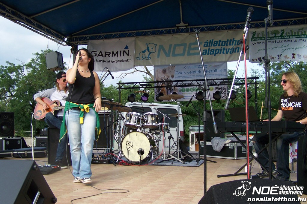 100_4338.jpg