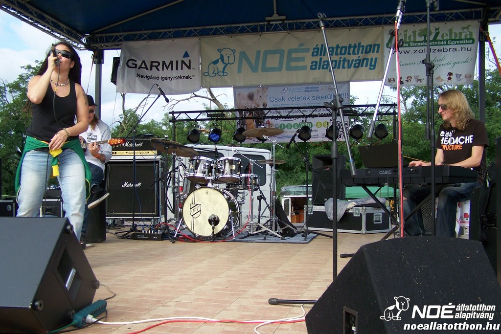 100_4359.jpg