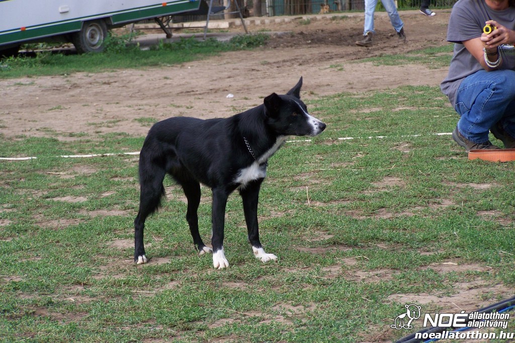 100_4396.jpg