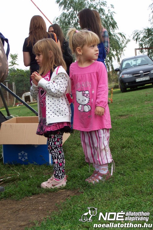 100_4531.jpg