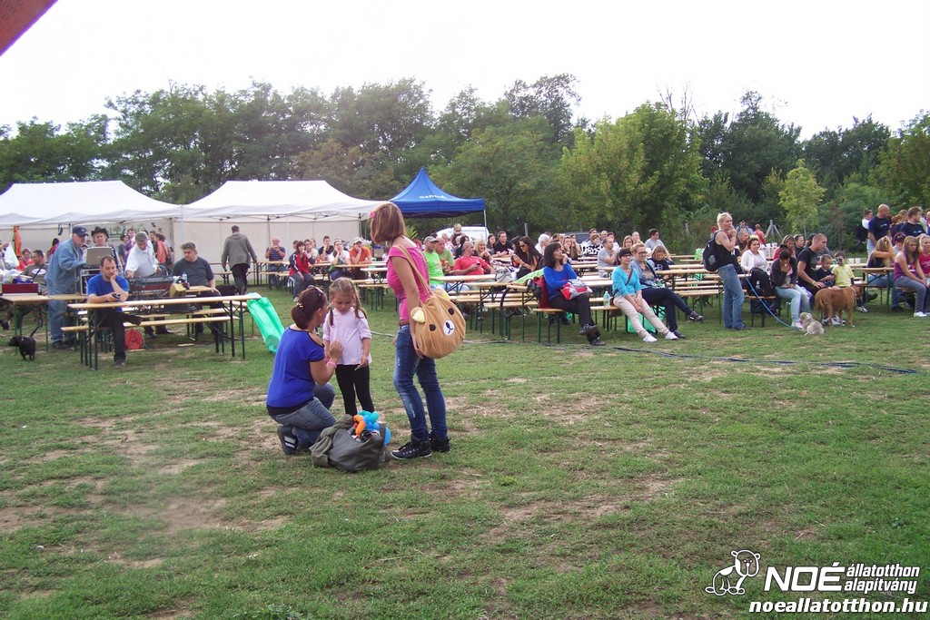 100_4539.jpg