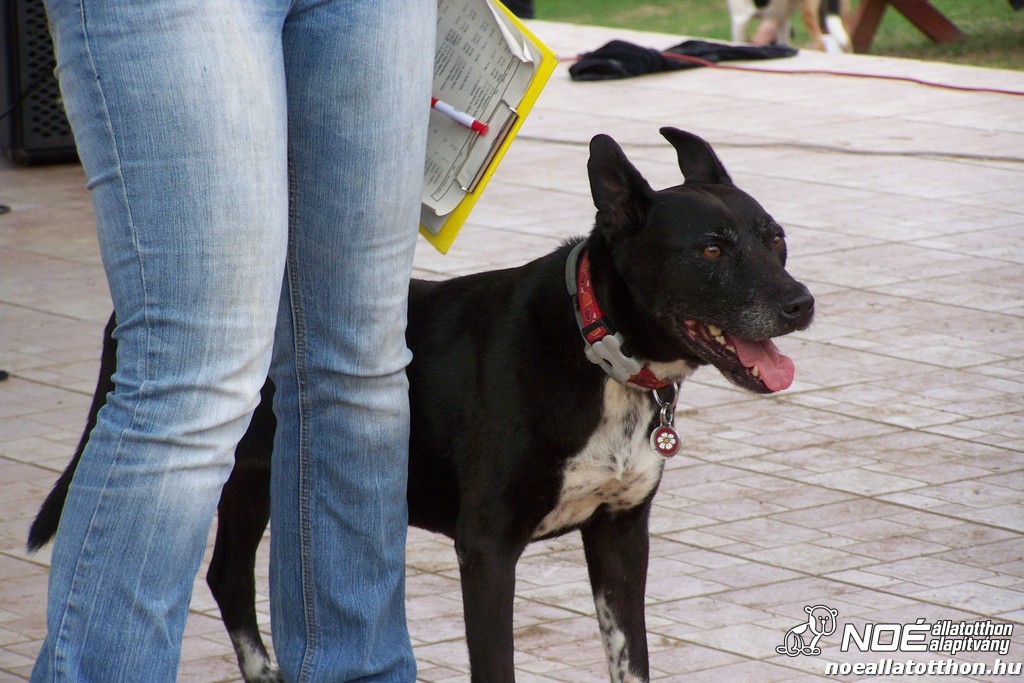 100_4626.jpg
