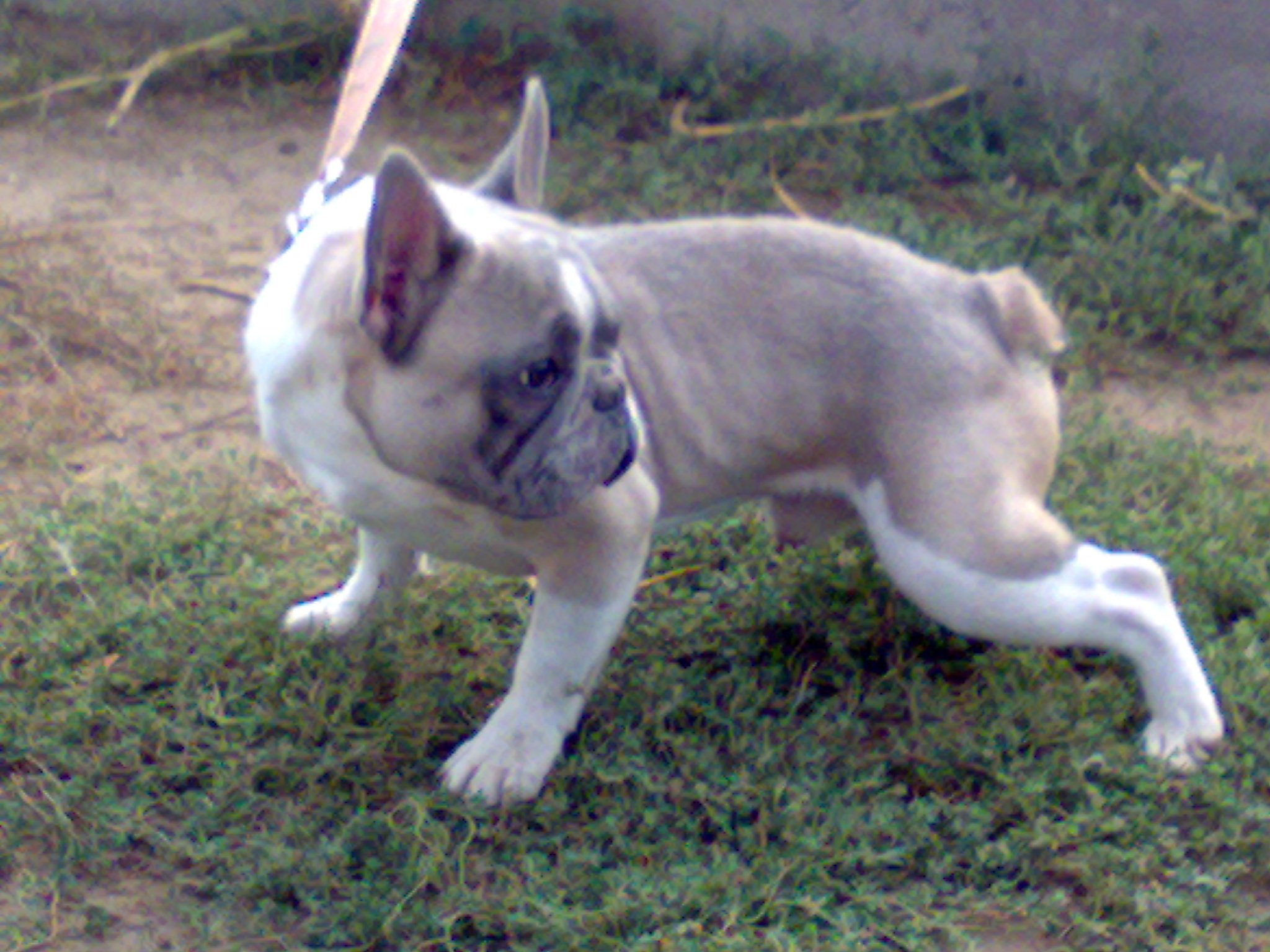 20110920343.jpg