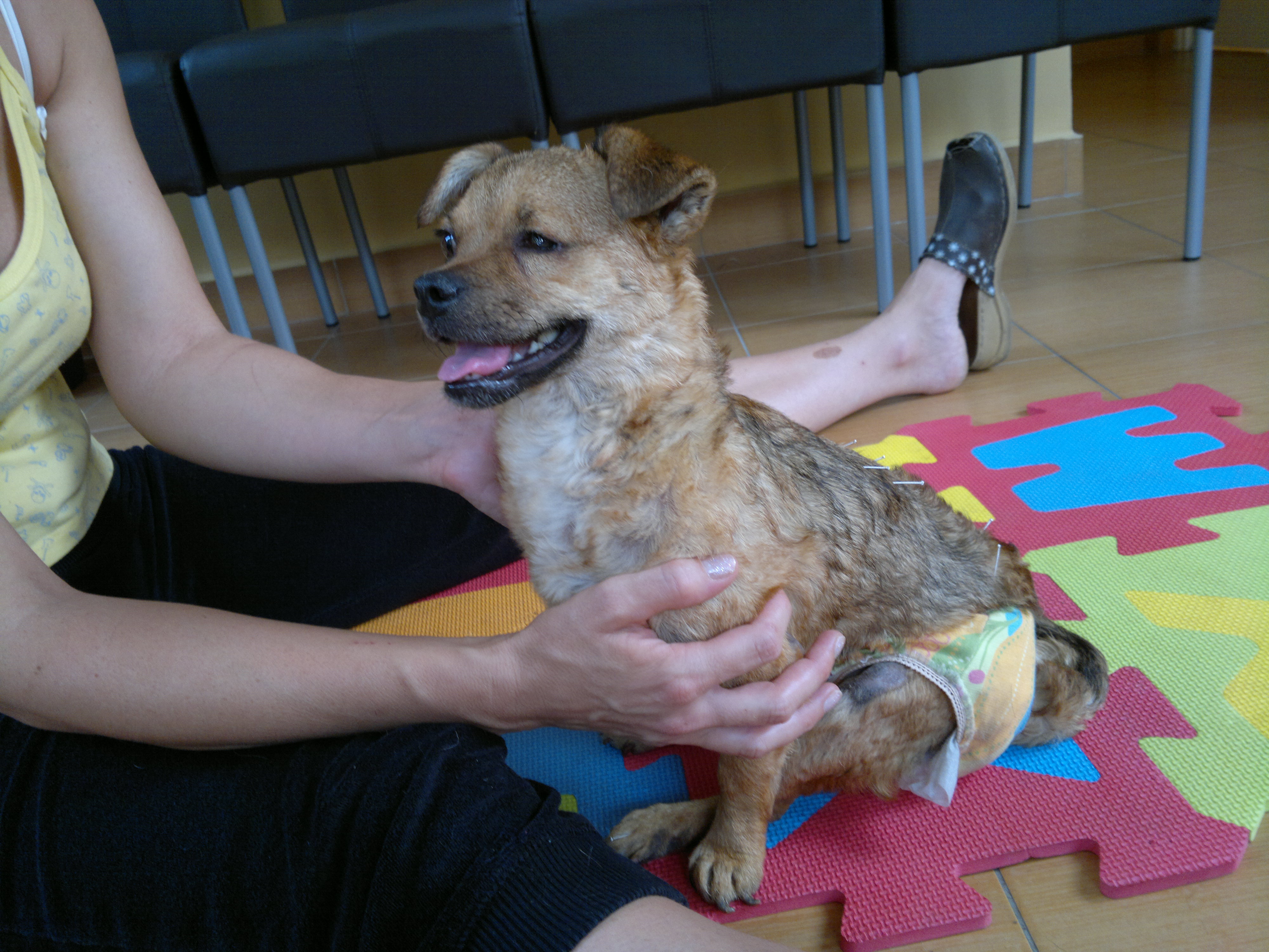20120904100.jpg