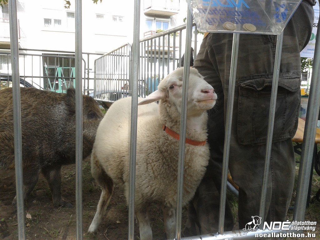 20130921_095350.jpg