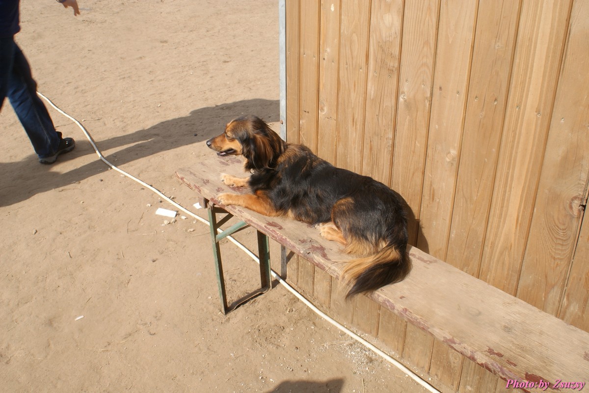 DSC01609.jpg