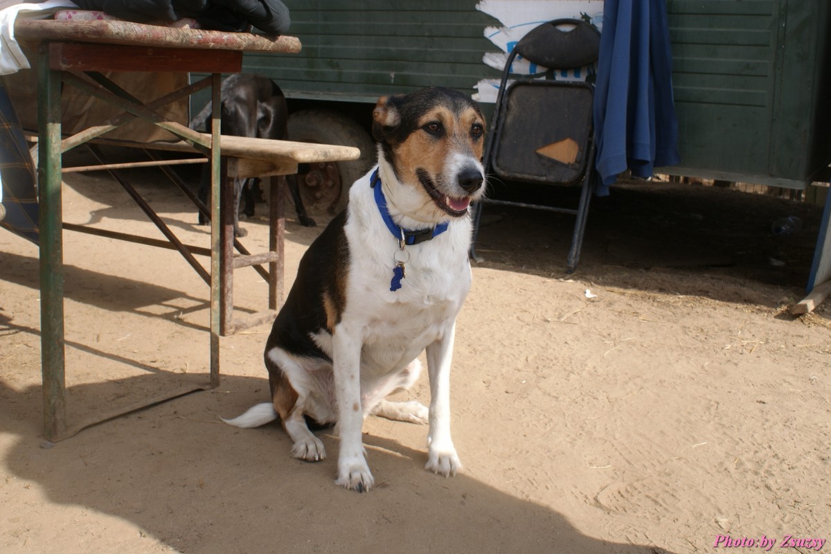 DSC01623.jpg