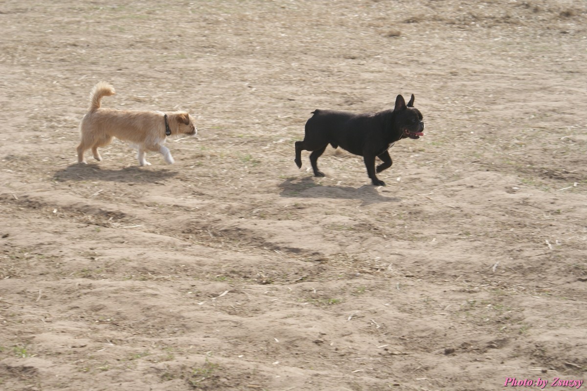 DSC01642.jpg