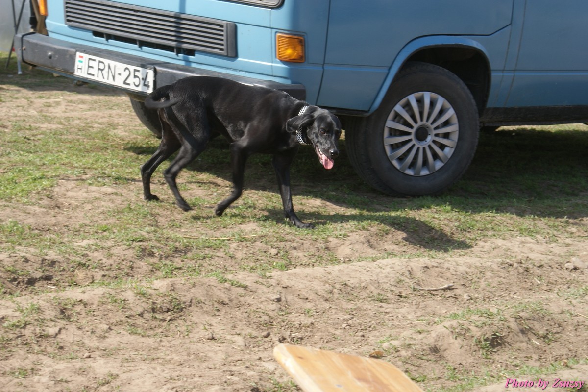 DSC01653.jpg