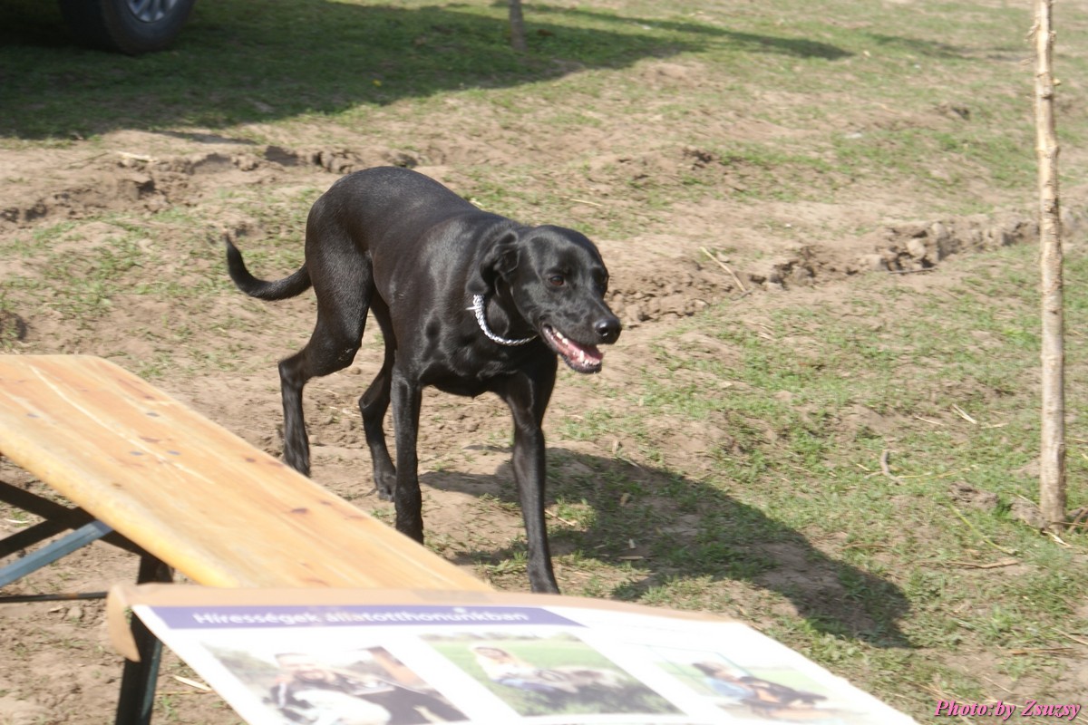 DSC01657.jpg