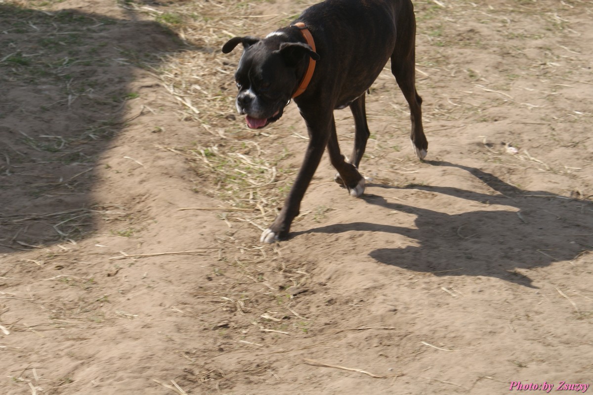 DSC01675.jpg