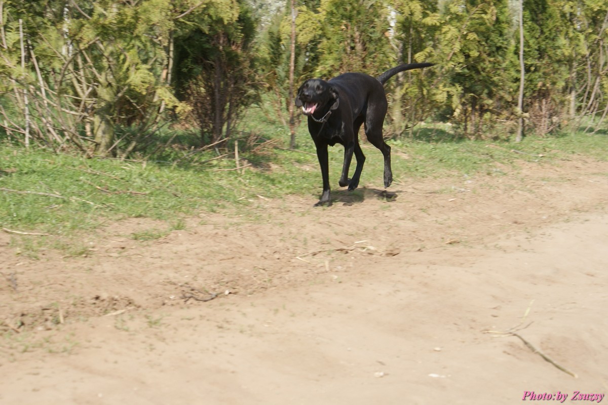 DSC01684.jpg