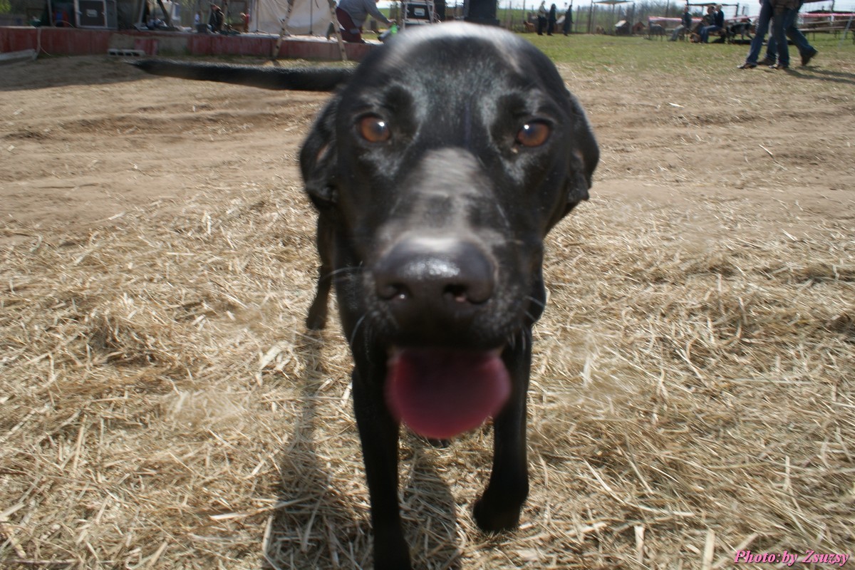 DSC01704.jpg