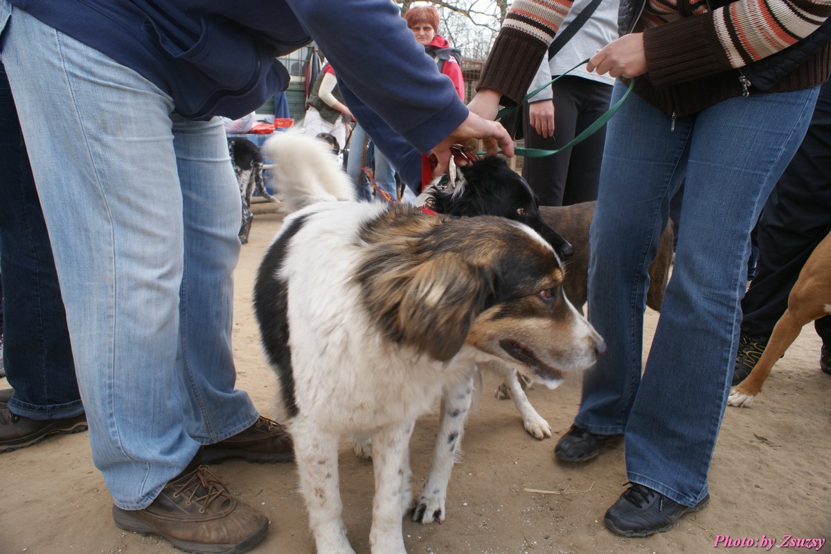 DSC01727.jpg