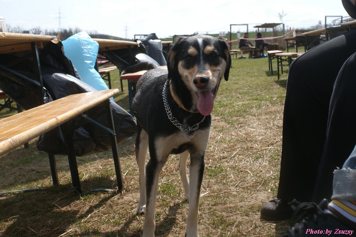 DSC01749.jpg