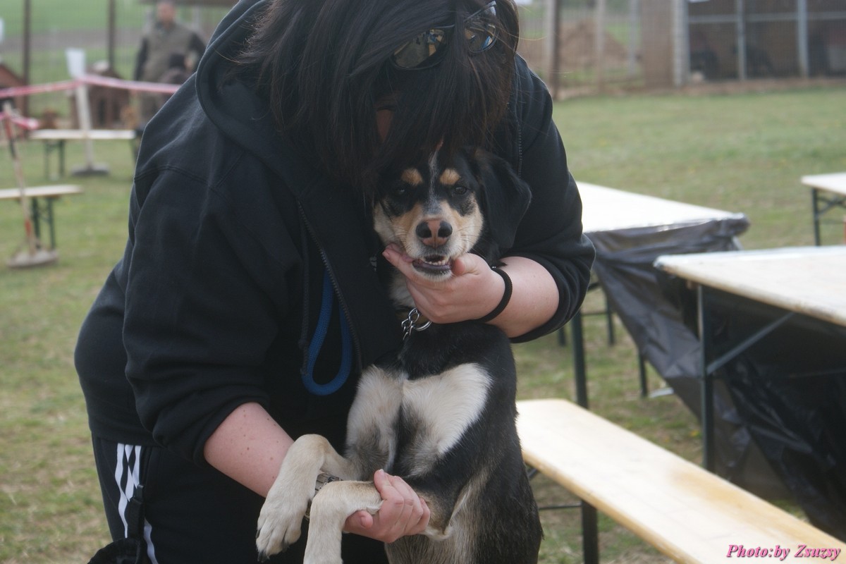DSC01763.jpg