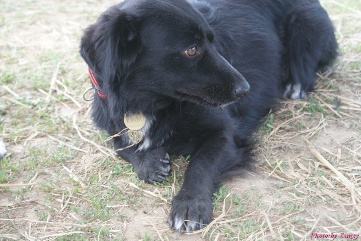 DSC01814.jpg