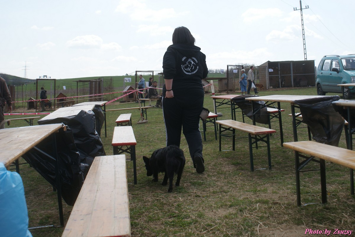 DSC01817.jpg