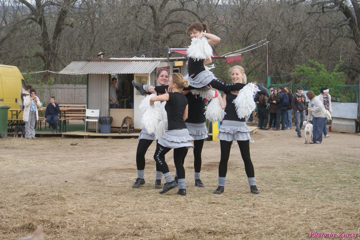 DSC01852.jpg