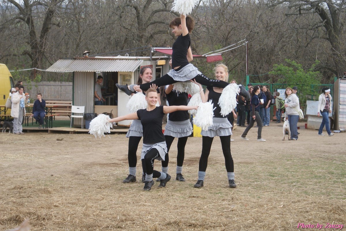 DSC01854.jpg