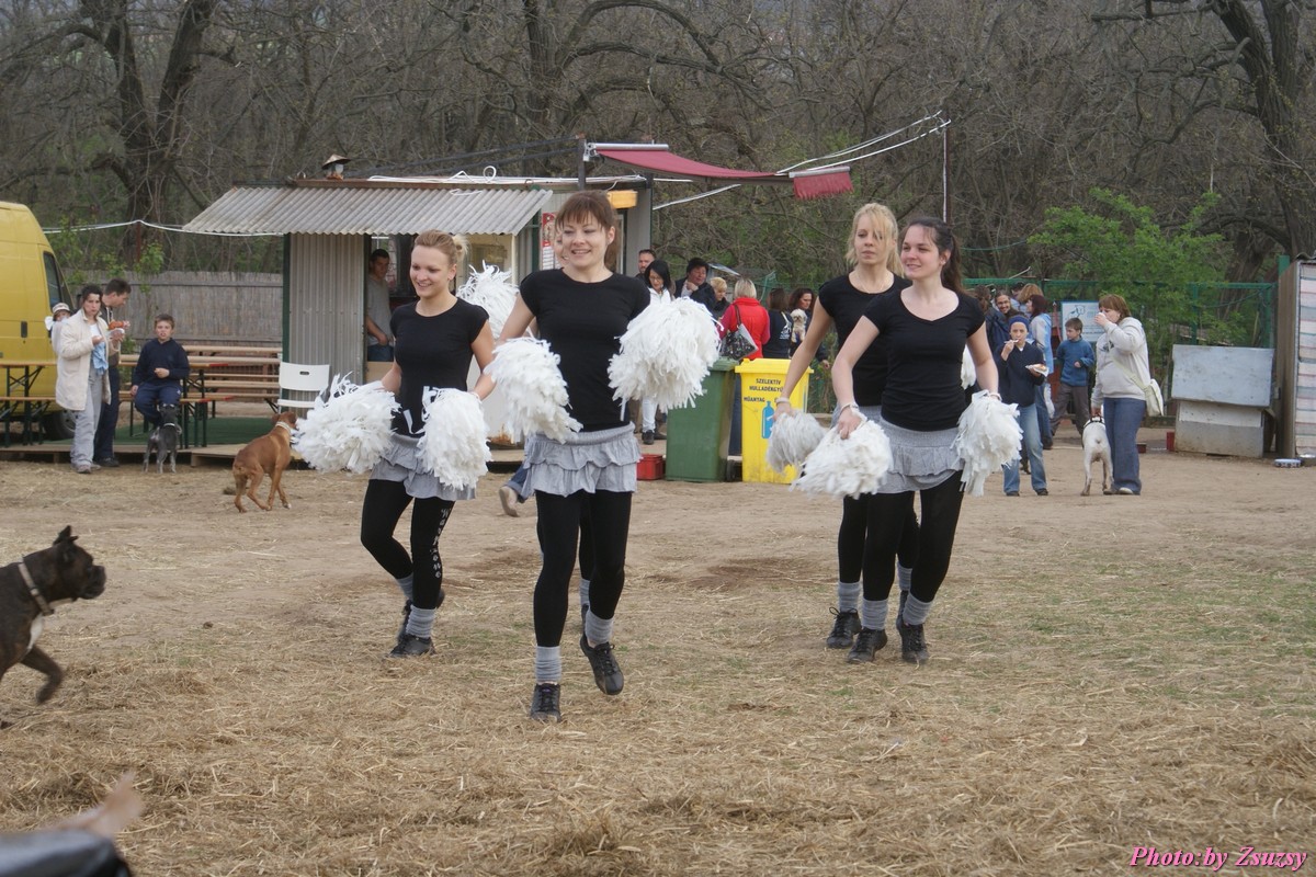 DSC01855.jpg