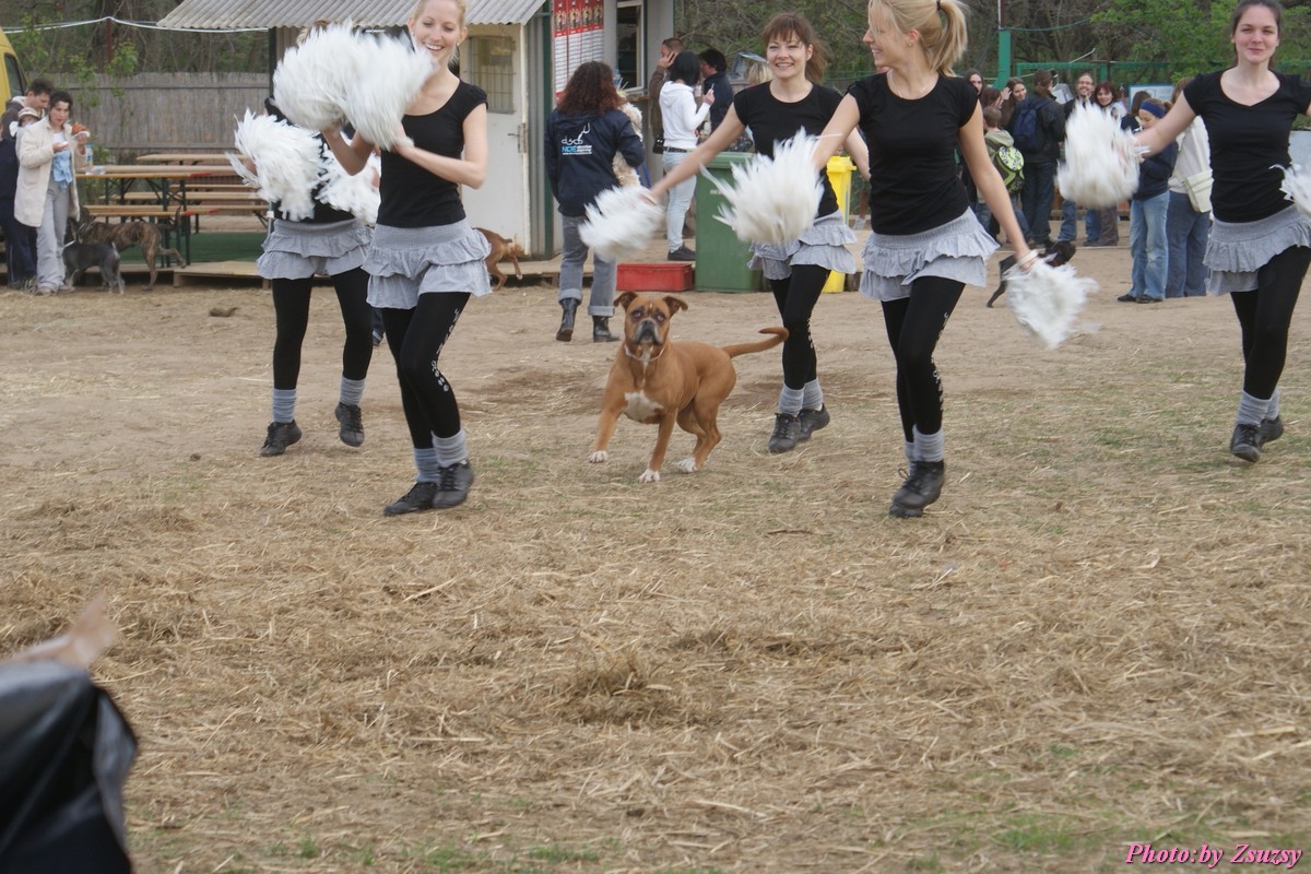 DSC01860.jpg