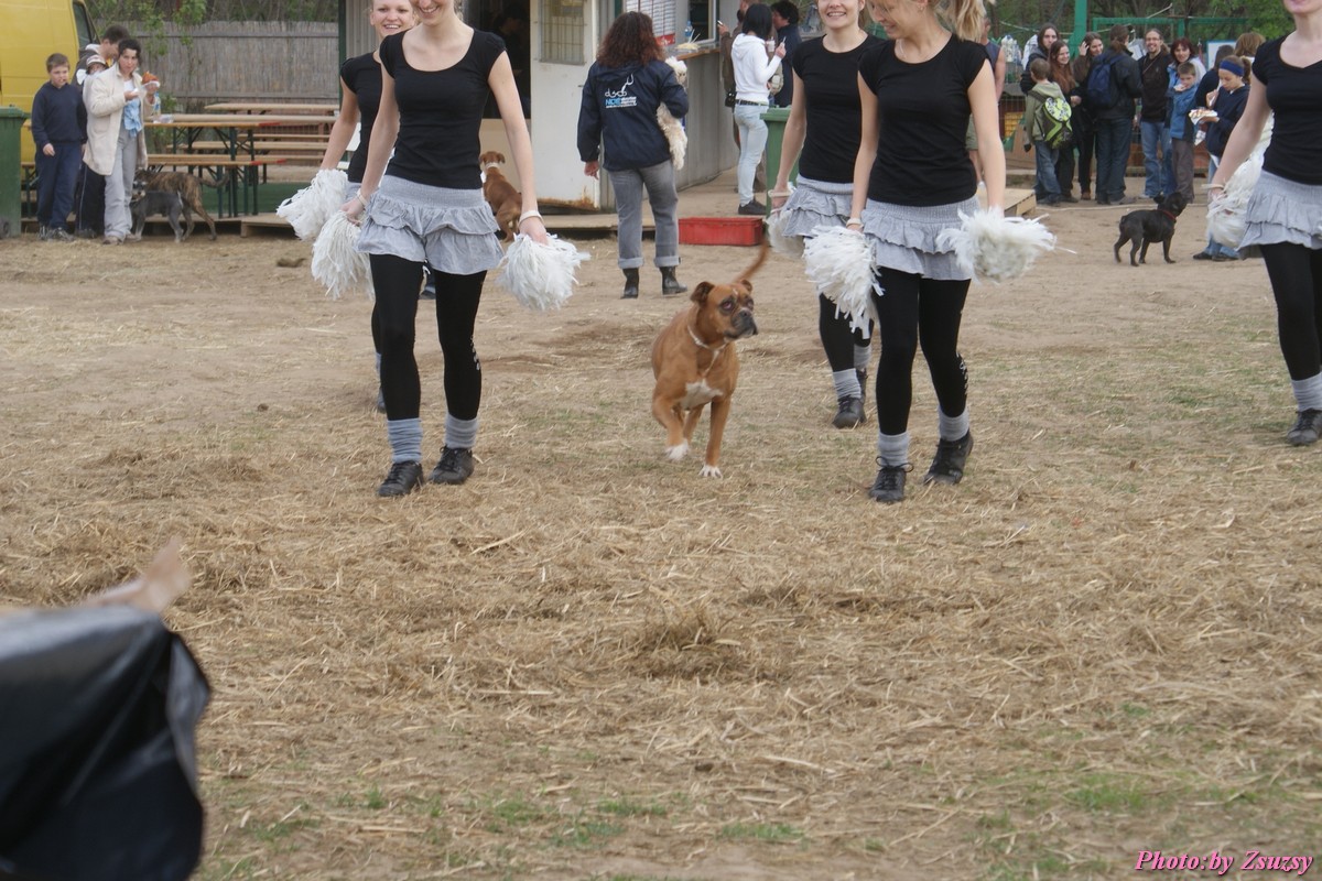 DSC01861.jpg