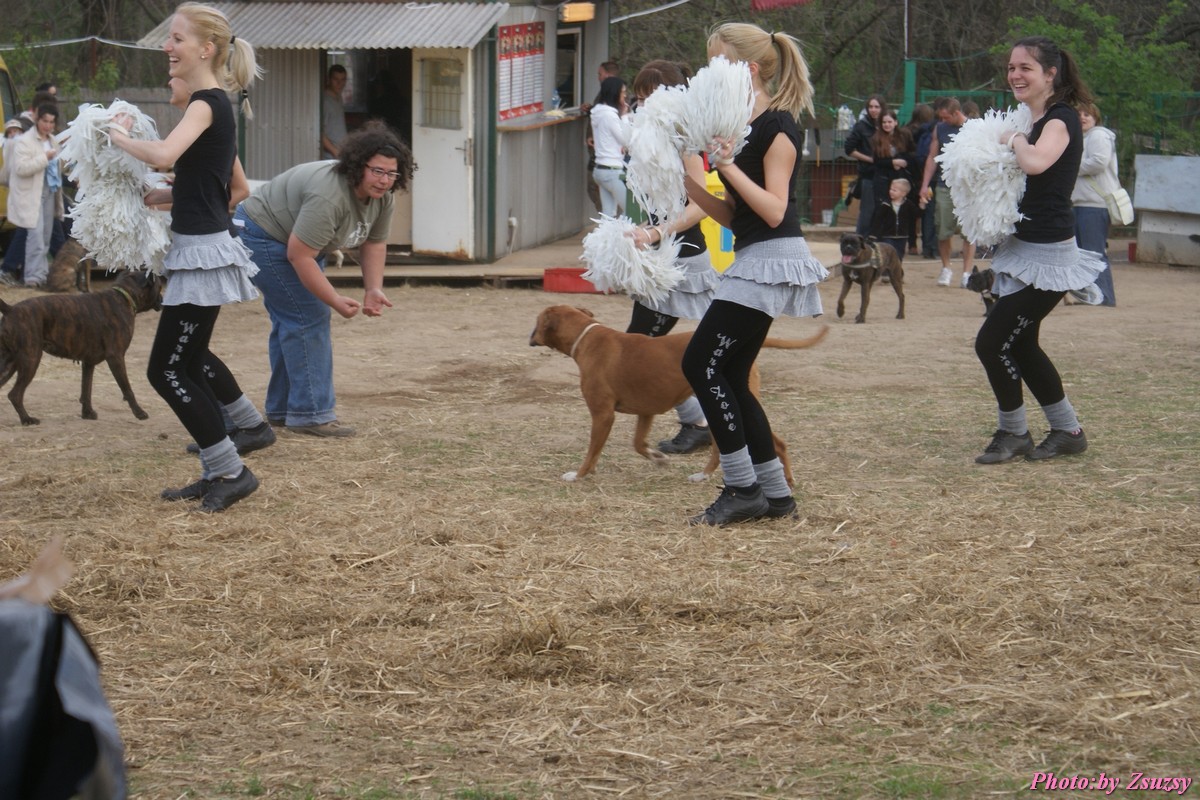 DSC01865.jpg