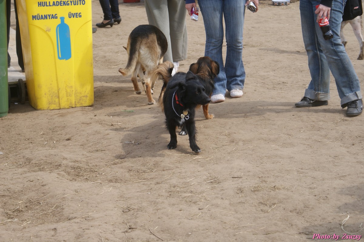 DSC01911.jpg