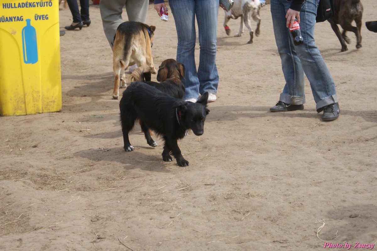 DSC01912.jpg
