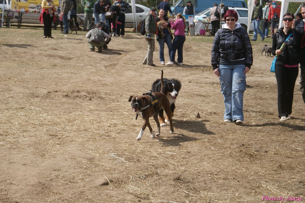 DSC01937.jpg