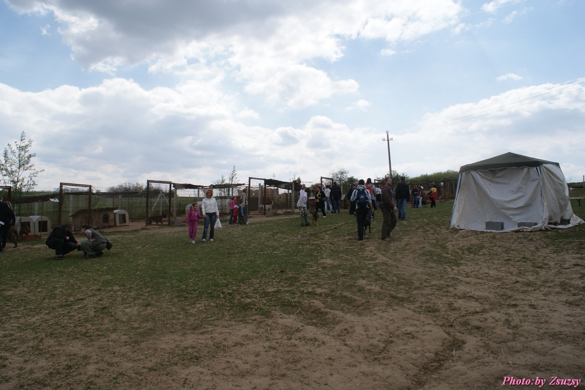 DSC01966.jpg
