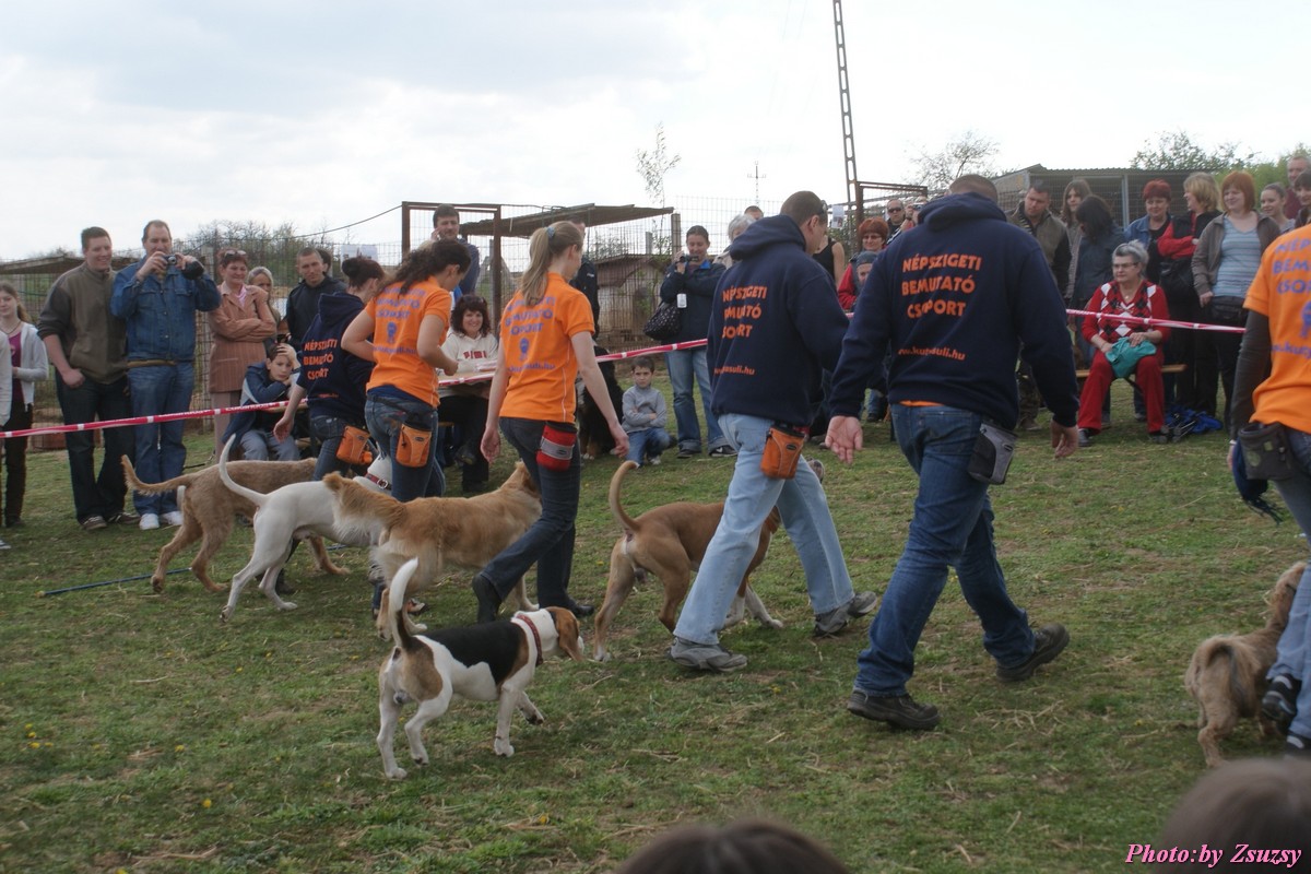 DSC02014.jpg