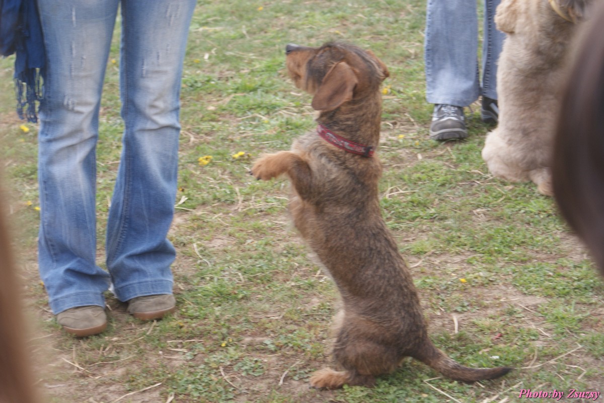 DSC02018.jpg