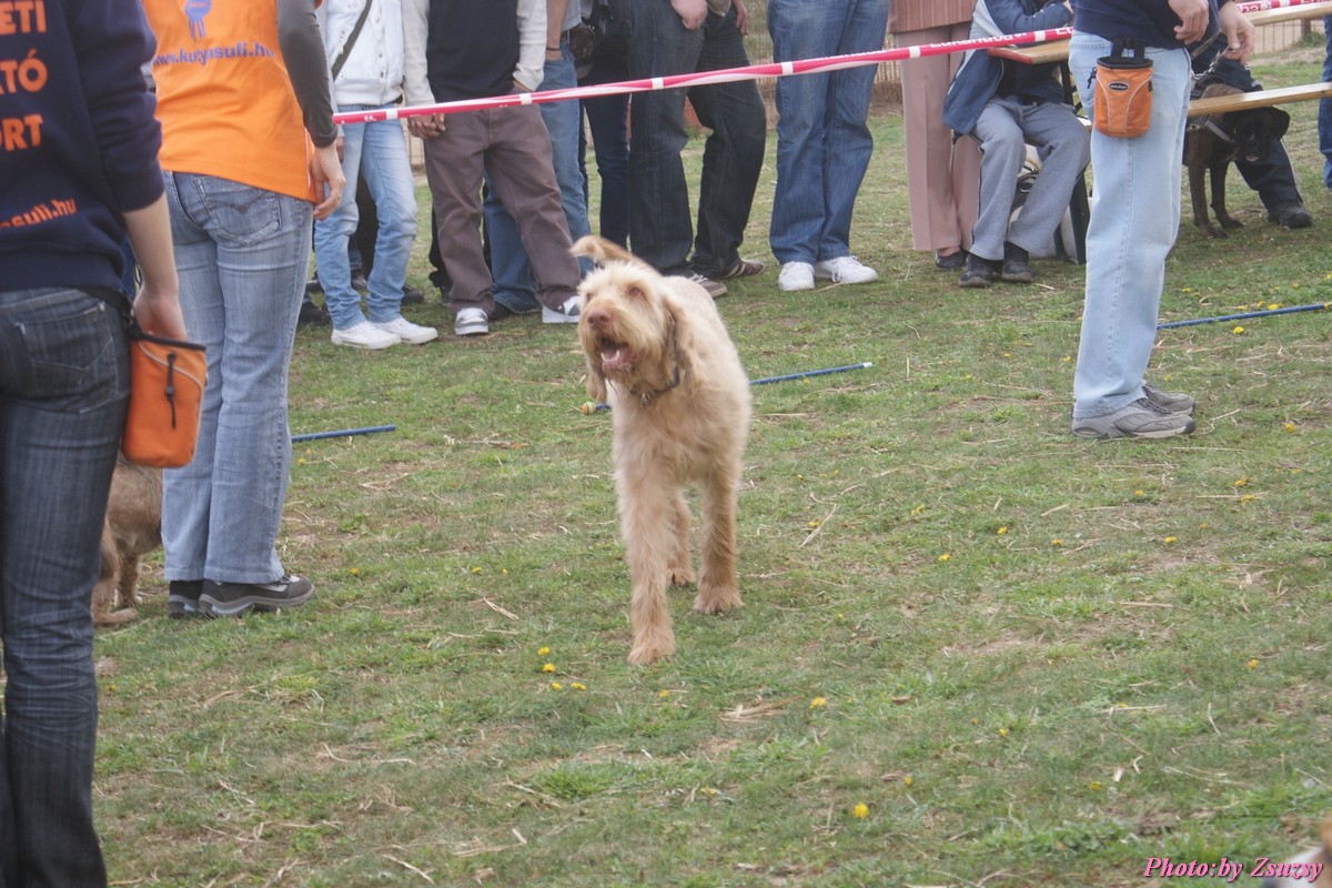 DSC02040.jpg