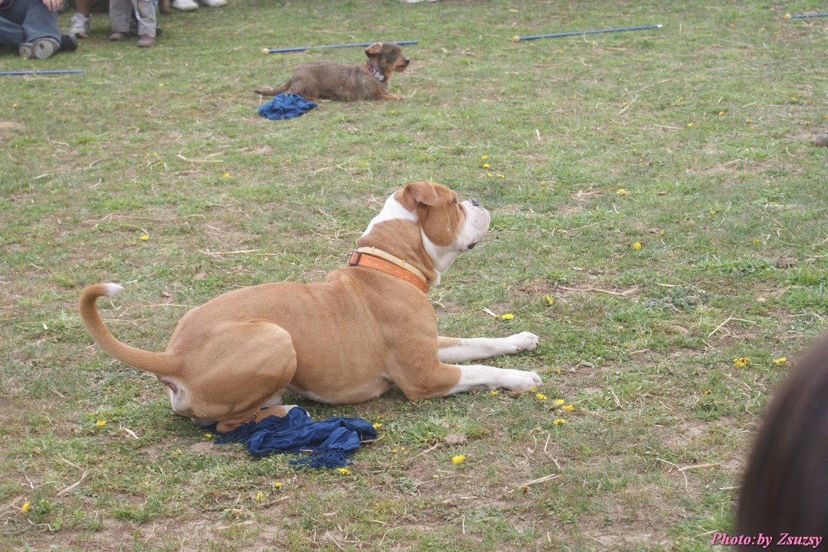 DSC02051.jpg