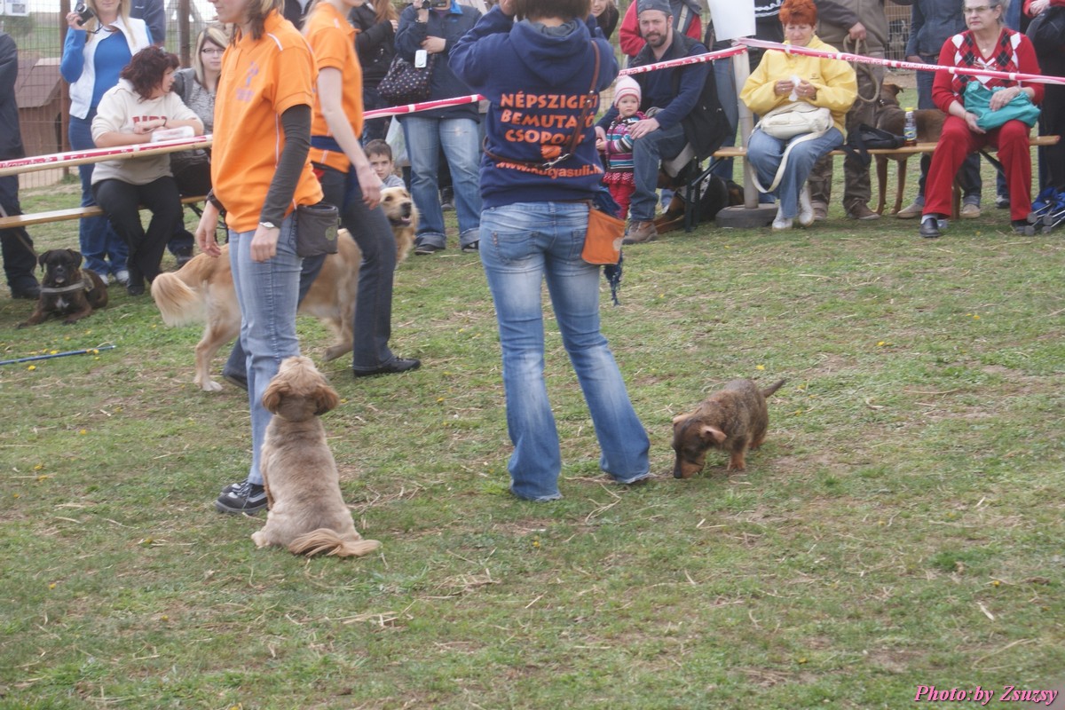 DSC02055.jpg