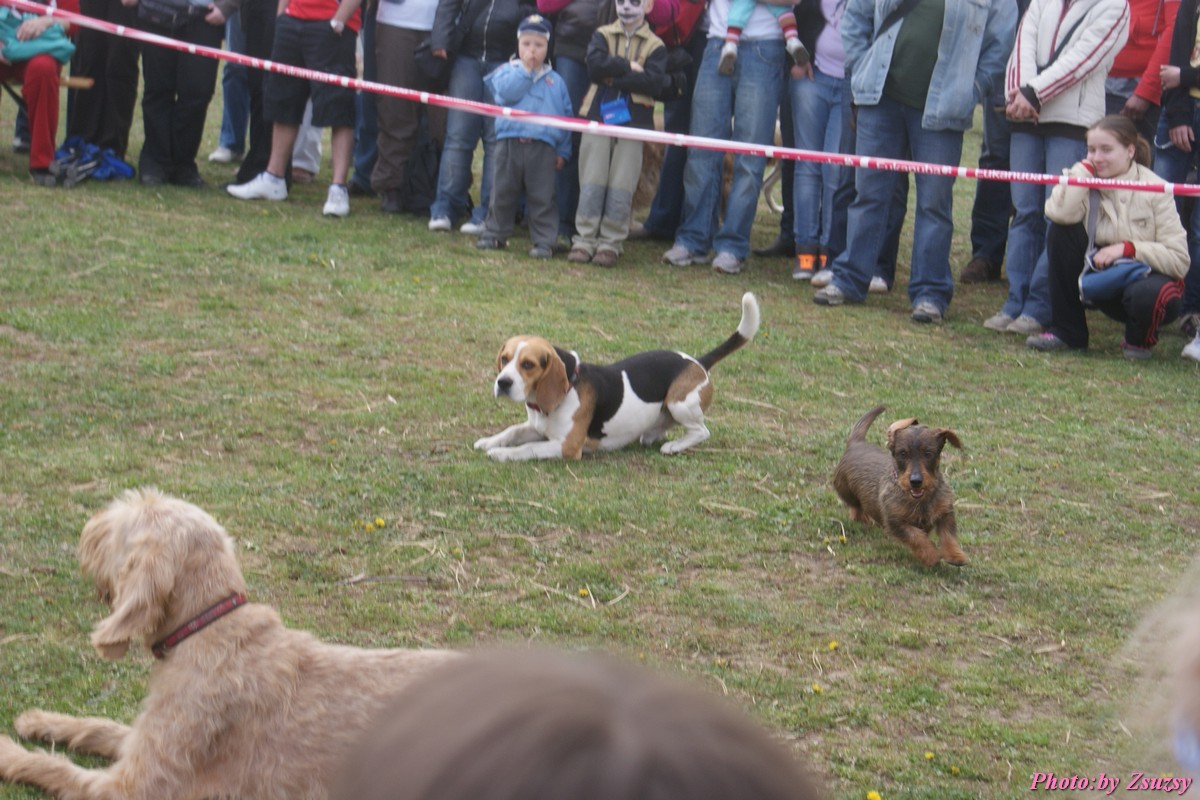 DSC02061.jpg