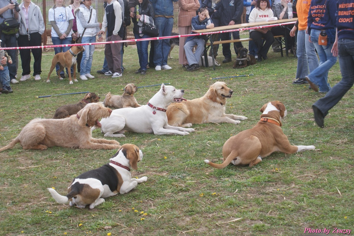 DSC02068.jpg