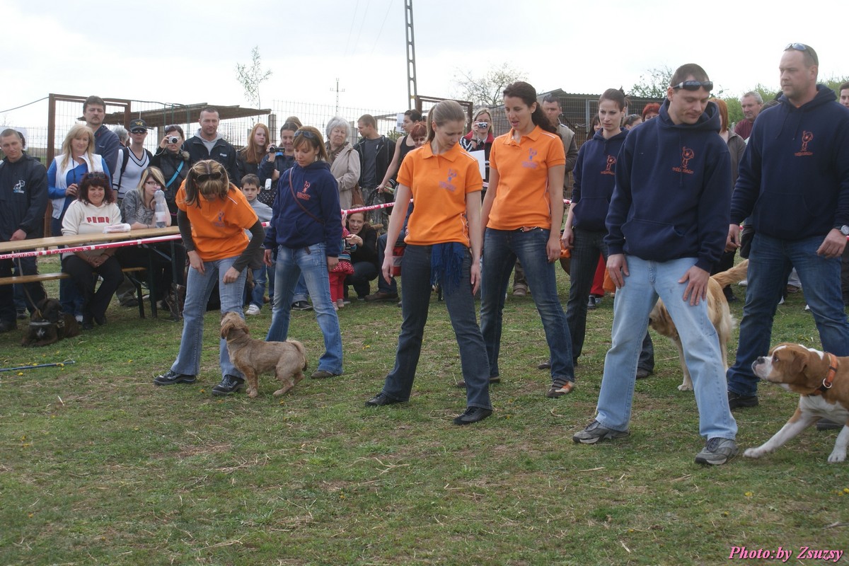 DSC02072.jpg