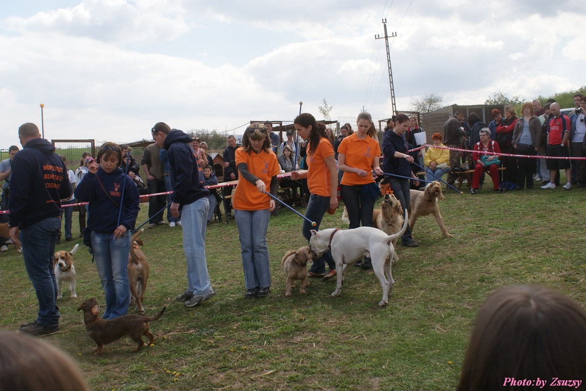DSC02089.jpg
