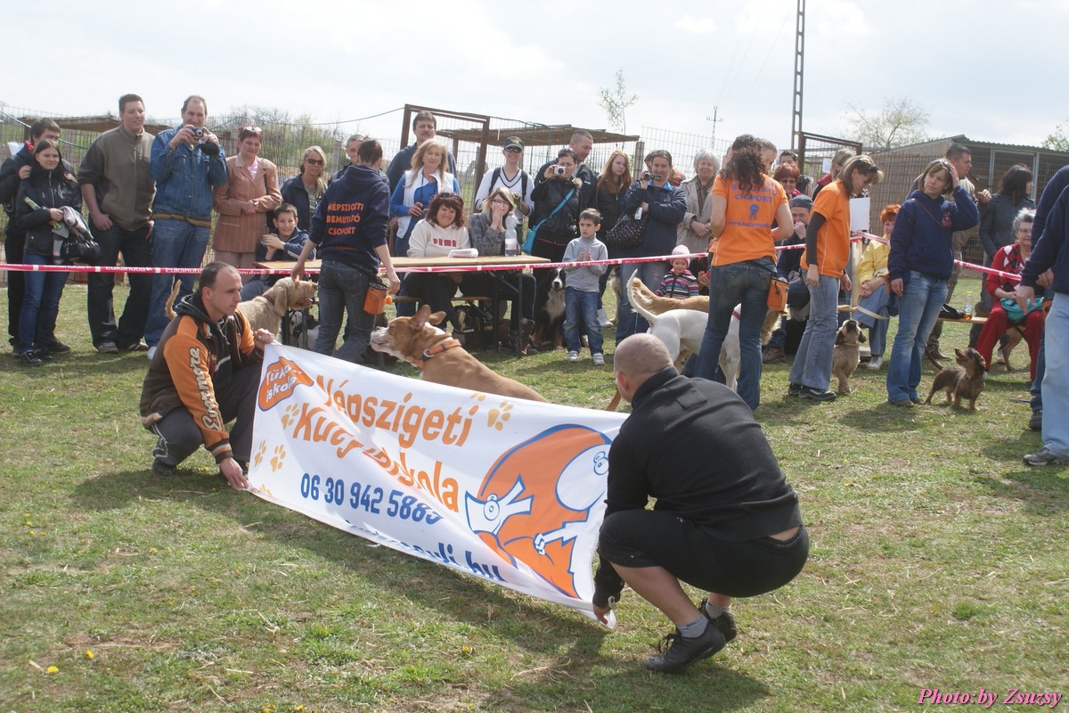 DSC02114.jpg