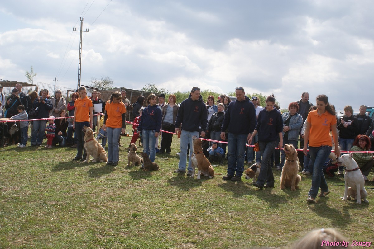 DSC02121.jpg