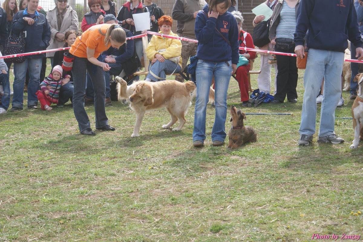 DSC02127.jpg