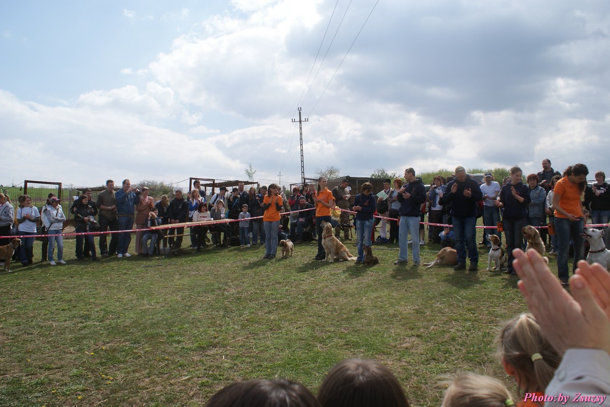 DSC02128.jpg